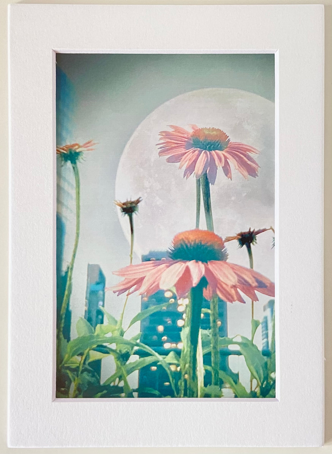 Moonflower Matted Photographic Art Print
