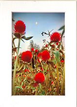 Load image into Gallery viewer, Floral Reds Matted Photographic Art Print
