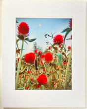 Load image into Gallery viewer, Floral Reds Matted Photographic Art Print
